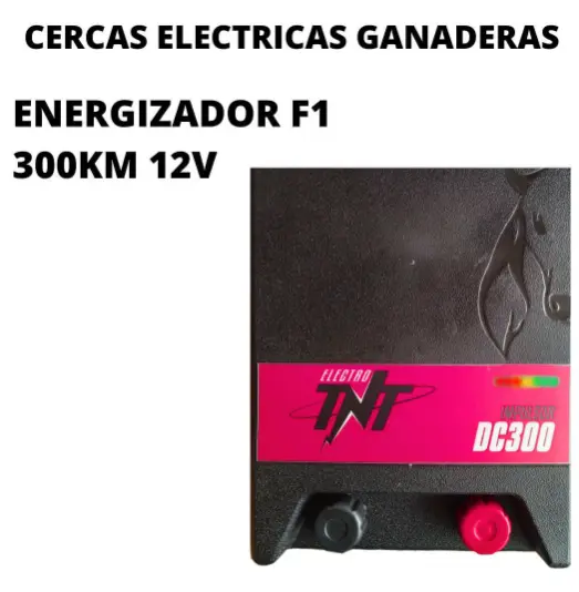 Energizador F1 300Km 12V