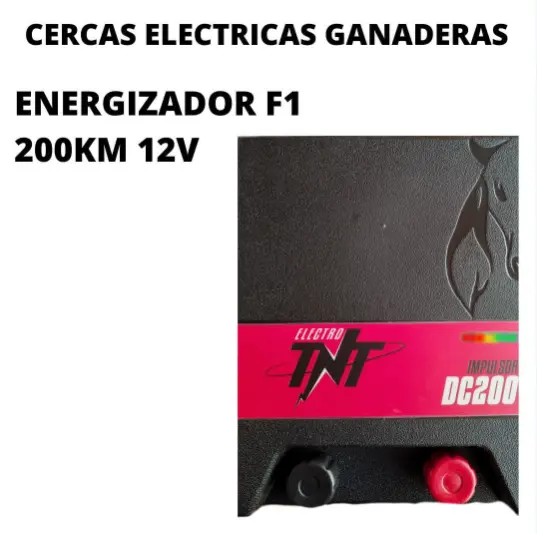 Energizador F1 200Km 12V
