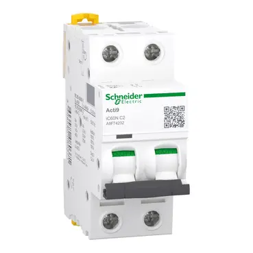 Breaker SCHNEIDER Termomagnetico 2 Polos 100A 415V AC