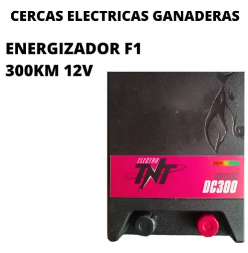 Energizador F1 300Km 12V